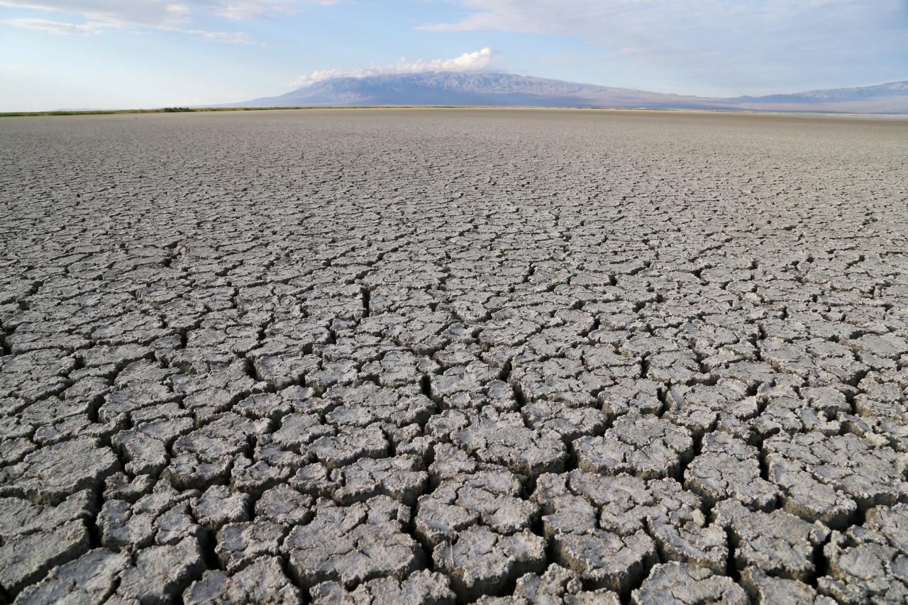 Desertification degradation change increasing modi assurance despite pm