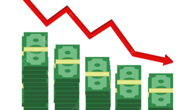 Is indias economy slowing down