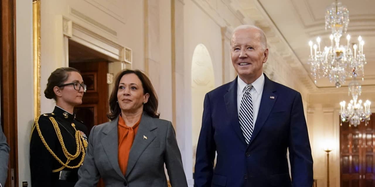 Kamala harris carries the torch and the burden of bidenomics