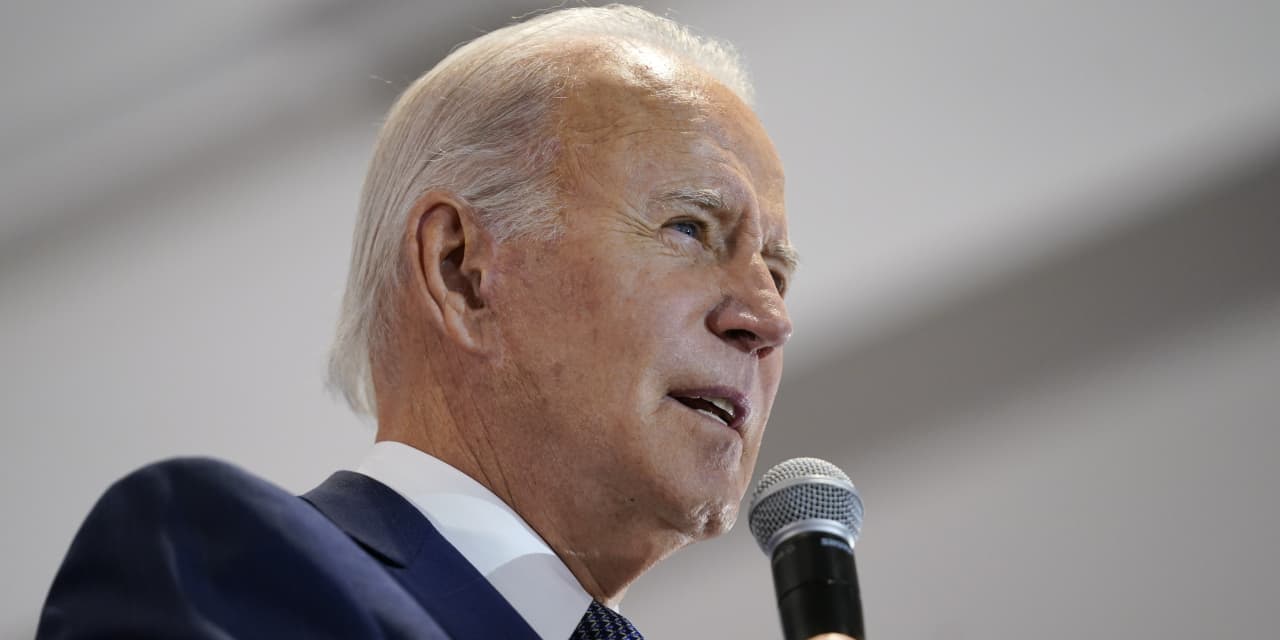 Democrats raise doubts about biden