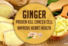 Ginger heart health preventive