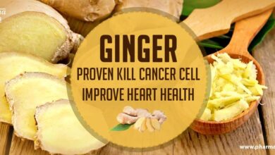 Ginger heart health preventive