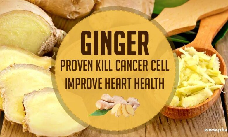 Ginger heart health preventive