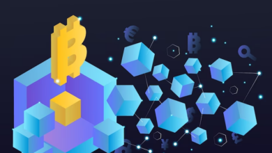 How to Detect and Avoid Fake Crypto Exchanges and Projects