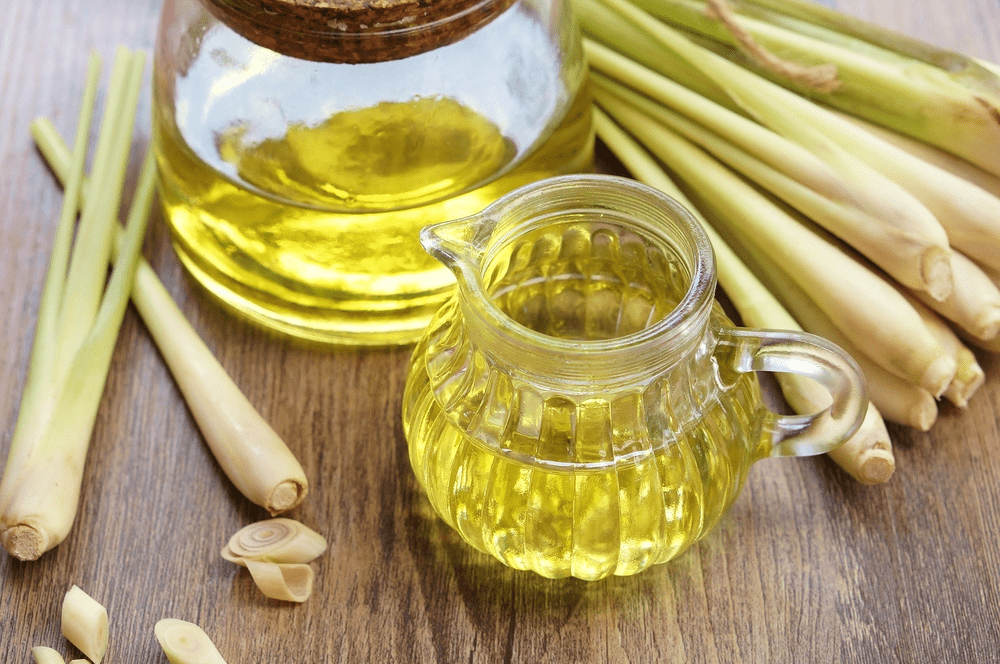 Why Lemongrass is a Must-Have Herb for Healthy Skin and Hair