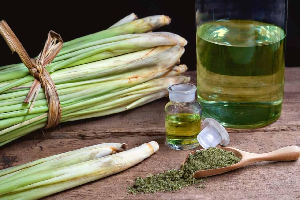 Why Lemongrass is a Must-Have Herb for Healthy Skin and Hair