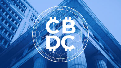 Understanding the Future Impact of Central Bank Digital Currencies