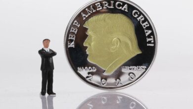 Trump promotes new meme coin before taking office on pro-crypto agenda