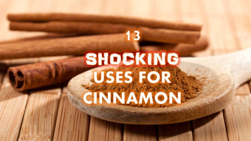 Simple Ways Cinnamon and Cardamom Reduce Stress and Improve Mental Well-being