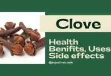 Unlock the Secret Health Powers of Clove and Black Nutmeg