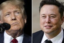 Trump waves off criticism from Elon Musk on AI announcement