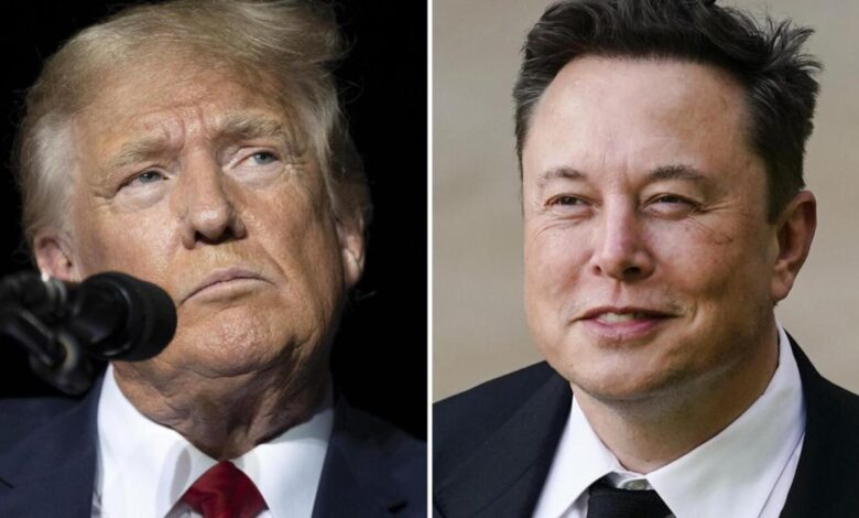 Trump waves off criticism from Elon Musk on AI announcement