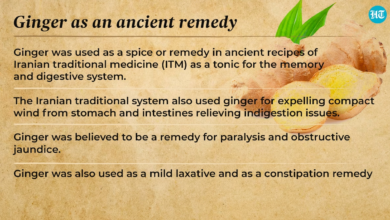 How Ginger Helps Relieve Nausea and Promotes a Healthy Stomach