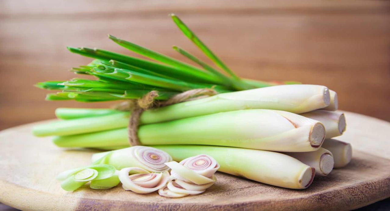 Lemongrass benefits grass health lemon stomach facts organicfacts saved herbal