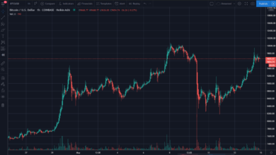 How to Predict Crypto Market Trends Using Data and Analytics
