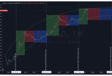 Understanding the Impact of Halving Events on Cryptocurrency Economics