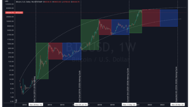 Understanding the Impact of Halving Events on Cryptocurrency Economics