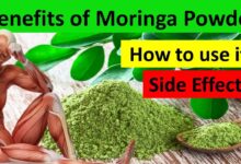 How Moringa Leaves Help Detox Your Body and Improve Energy Levels