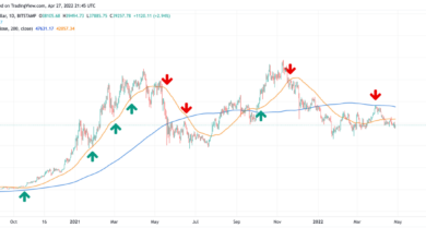 Essential Indicators for Predicting Major Cryptocurrency Price Movements