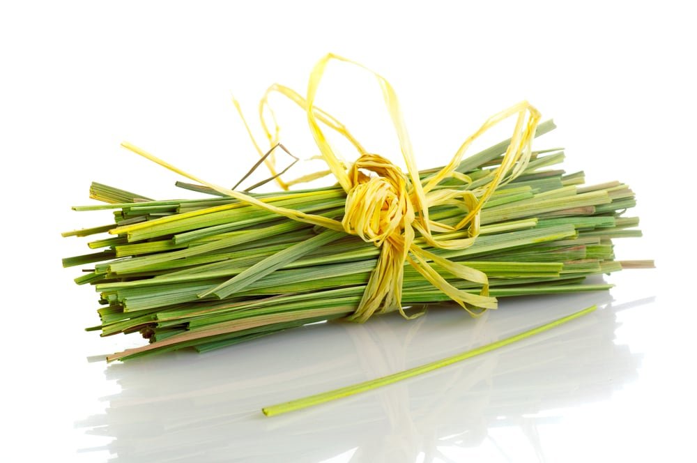 Discover the Surprising Health Benefits of Lemongrass for Your Body