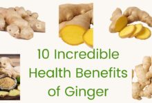 Discover the Incredible Health Benefits of Ginger for Your Body