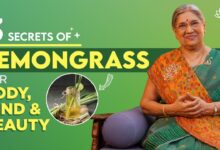 Discover the Surprising Health Benefits of Lemongrass for Your Body