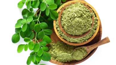 Learn the Hidden Nutritional Power of Moringa Leaves Today