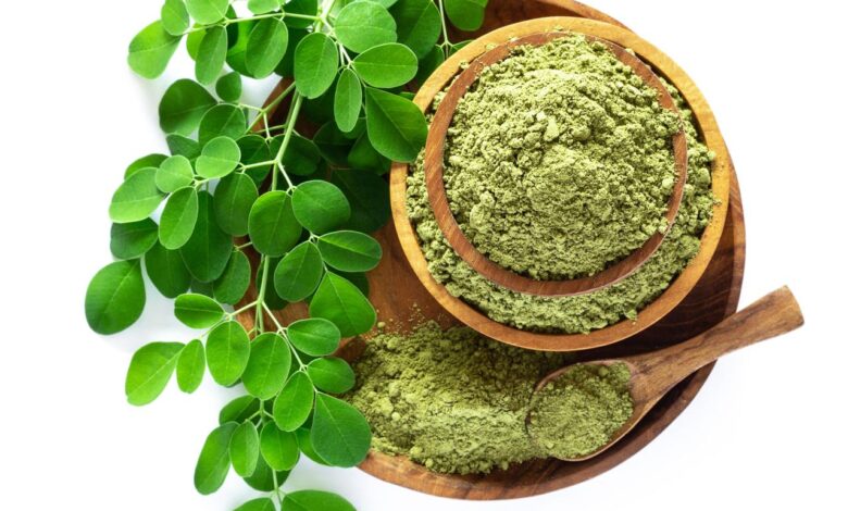 Learn the Hidden Nutritional Power of Moringa Leaves Today