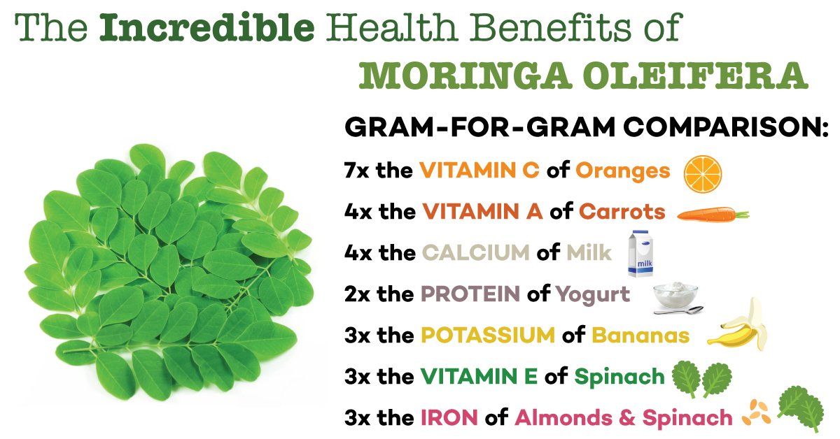 How to Use Moringa Leaves to Enhance Your Daily Wellness