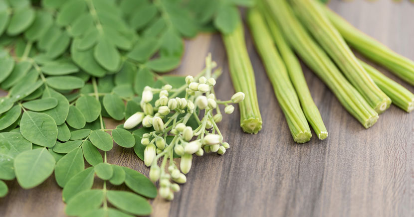 Top Reasons to Include Moringa Leaves in Your Diet for Better Health