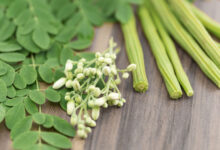 Top Reasons to Include Moringa Leaves in Your Diet for Better Health