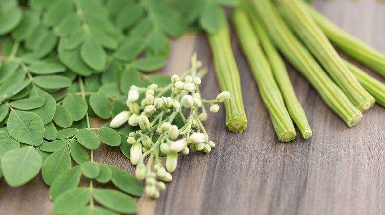 Top Reasons to Include Moringa Leaves in Your Diet for Better Health