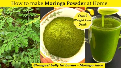 Leaves moringa drinking tea prepare into legit stalks step