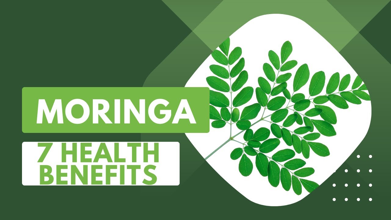 The Incredible Ways Moringa Leaves Improve Your Immune System