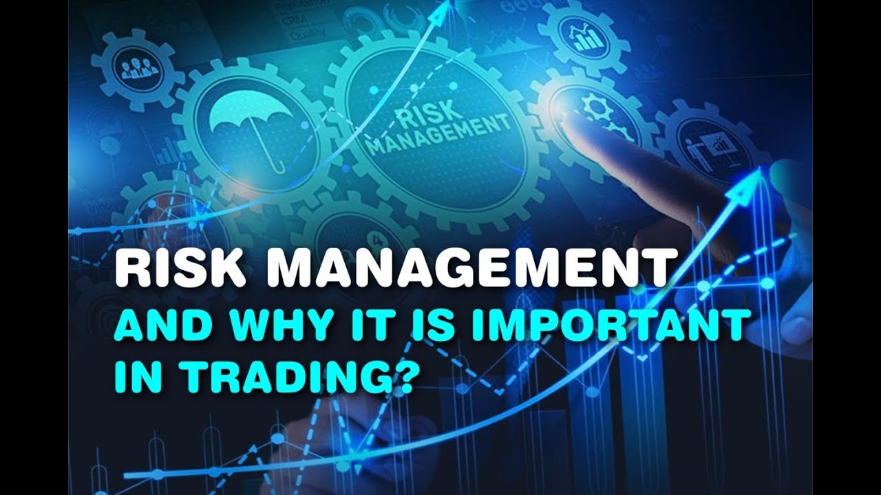 The Importance of Risk Management in Crypto Trading Success
