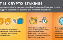 How to Identify the Most Rewarding Crypto Staking Coins