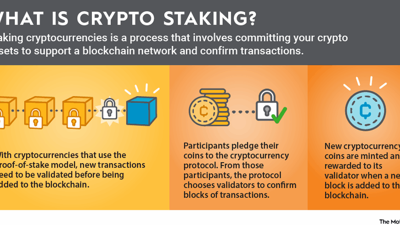 How to Identify the Most Rewarding Crypto Staking Coins