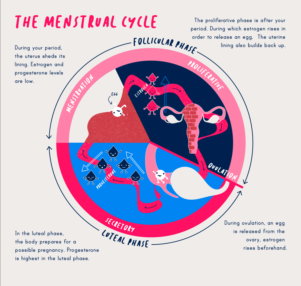 Progress on the science of menstruation at last