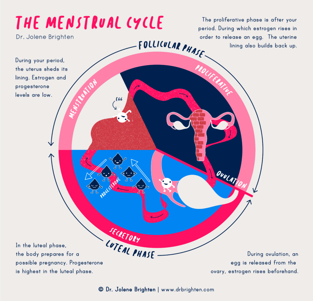 Progress on the science of menstruation at last