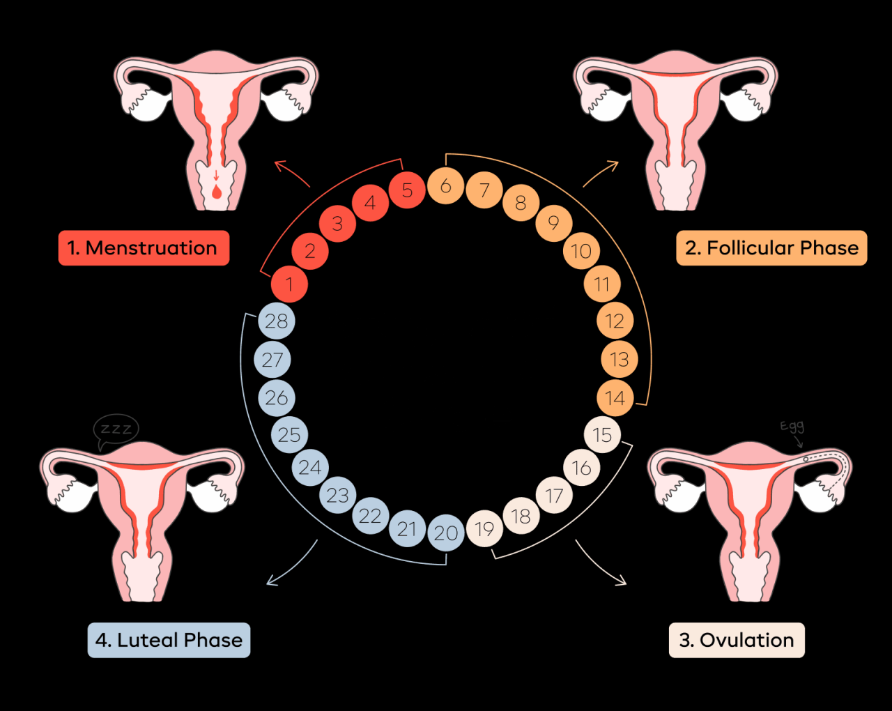 Periodic periods helmenstine sciencenotes