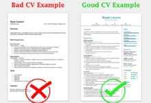 How to write the perfect cv