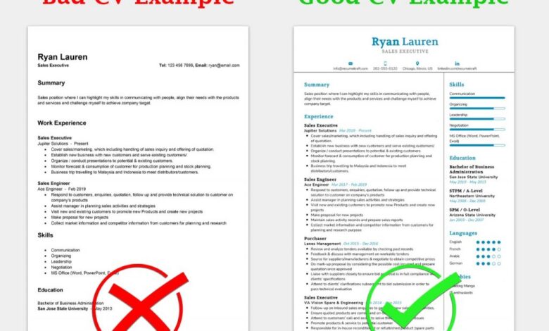 How to write the perfect cv