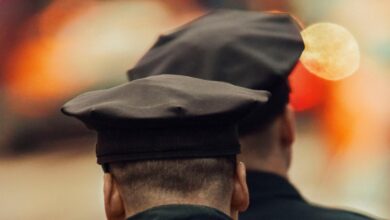 How fragile is americas democracy