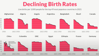 Can the rich world escape its baby crisis