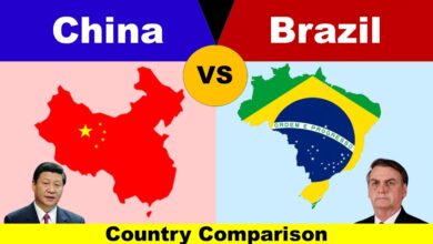 Brazil india and mexico are taking on chinas exports