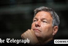 What if calling someone stupid was a crime