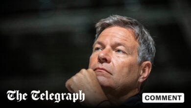 What if calling someone stupid was a crime