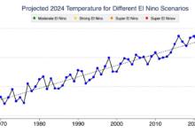 Six charts help to explain 2024s freakish temperatures