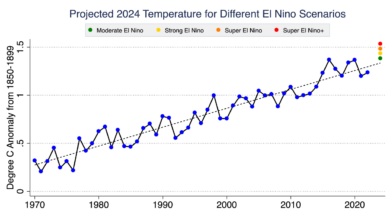 Six charts help to explain 2024s freakish temperatures