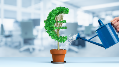 Against expectations european banks are thriving